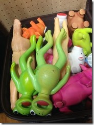 IMG_3334 IMG_3334